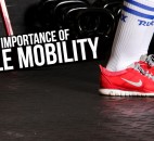 ankle mobility