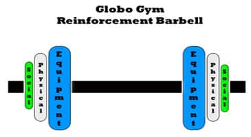 globo reinforcement