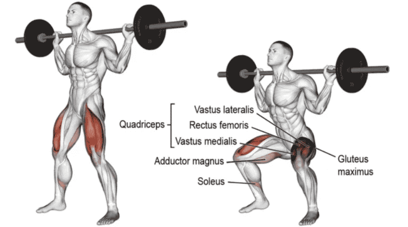 Landmine Squat: 3 Benefits And How To Do The Landmine Squat