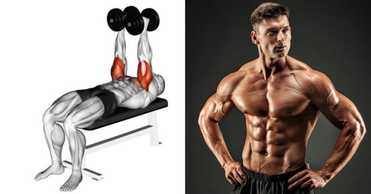 decline dumbbell bench press muscles worked