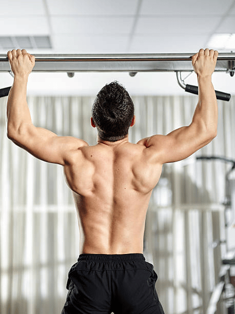 Which muscles do pull-ups work?