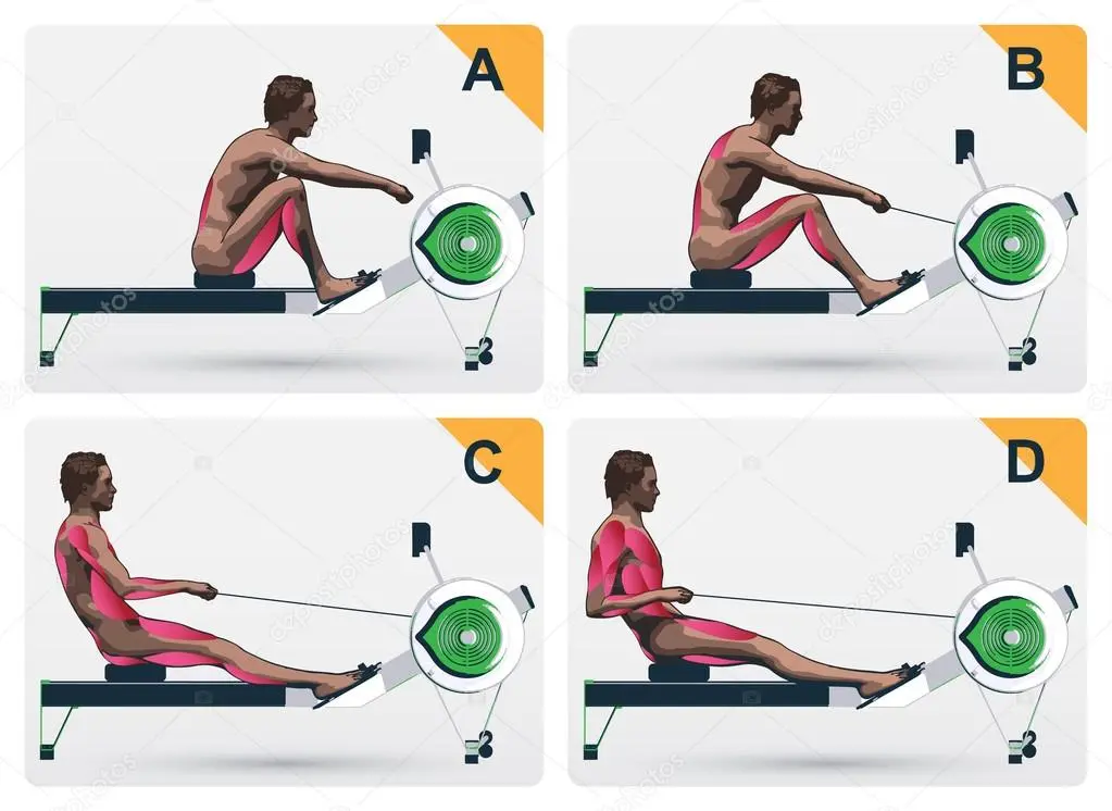 Illustration of how to use a rowing machine for bettering your back