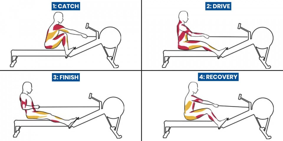 Rowing machine exercise discount routine