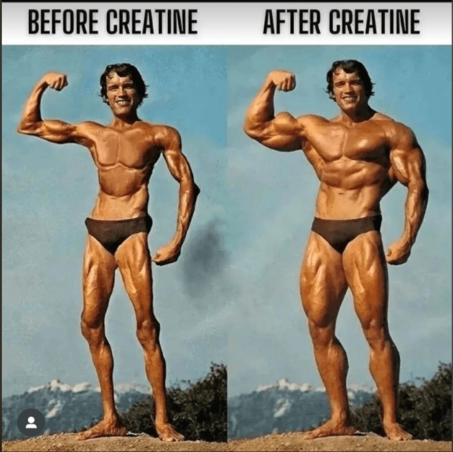 Créatine Avant/Après Photos: Transformation d'Arnold Schwarzenegger