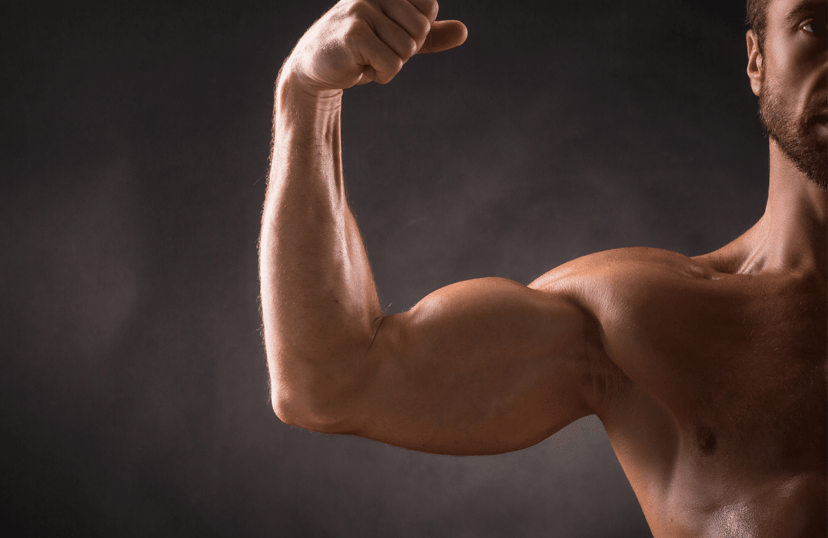 Biceps long ou court ? Telle est la question