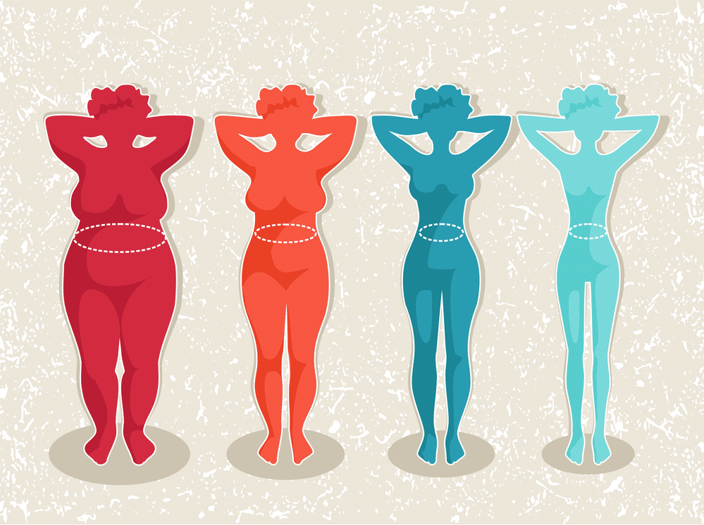 A chart showing the different waist sizes for women