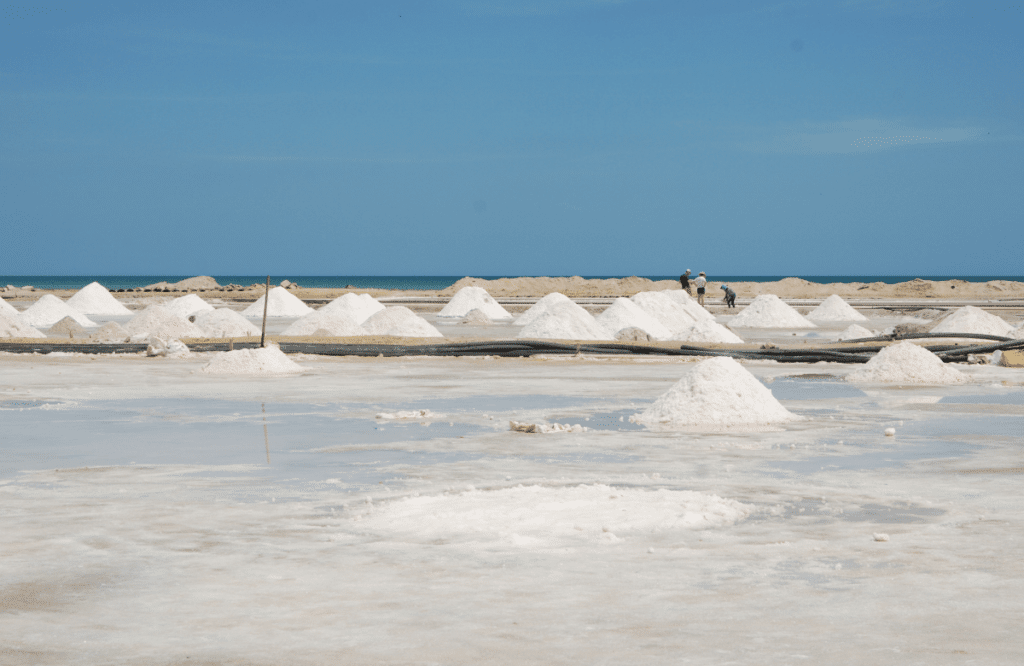 A salt farm