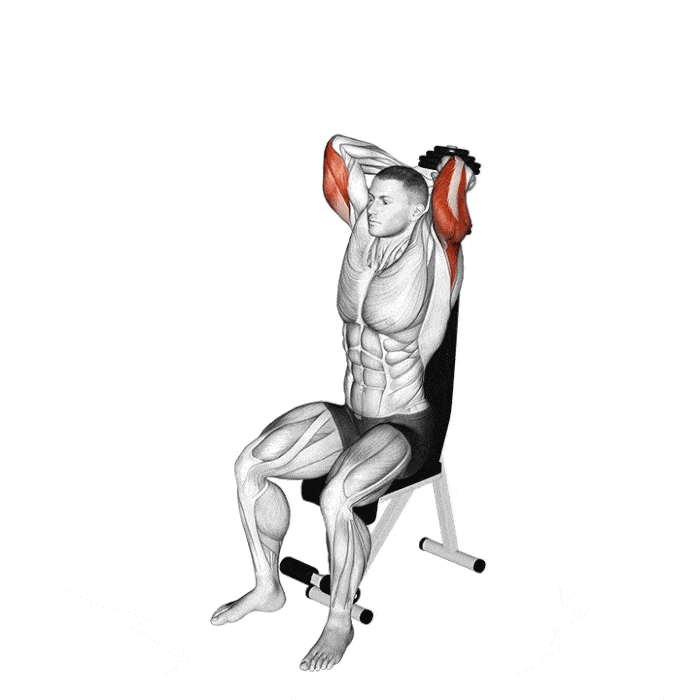 Un hombre hace extensiones de triceps con mancuerna