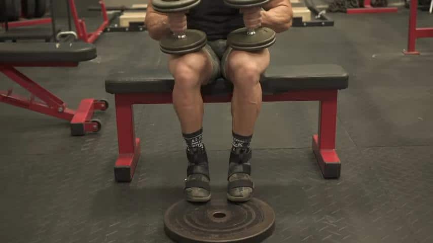 A man at the gym performing seated calf raises using two dumbbells