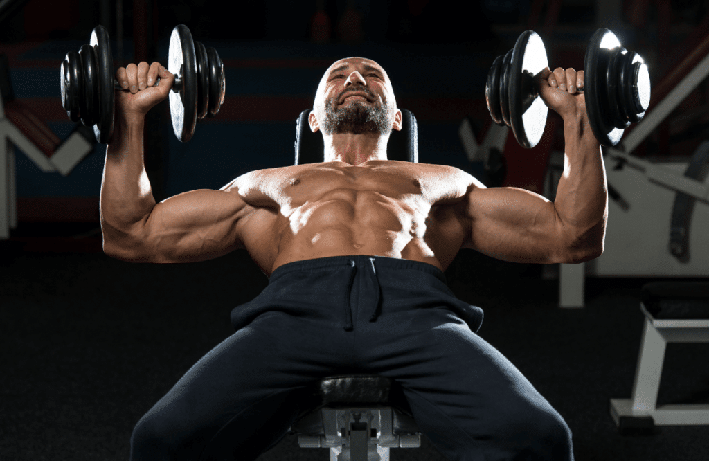 A muscular guy lifting two dumbbells on the best weight bench