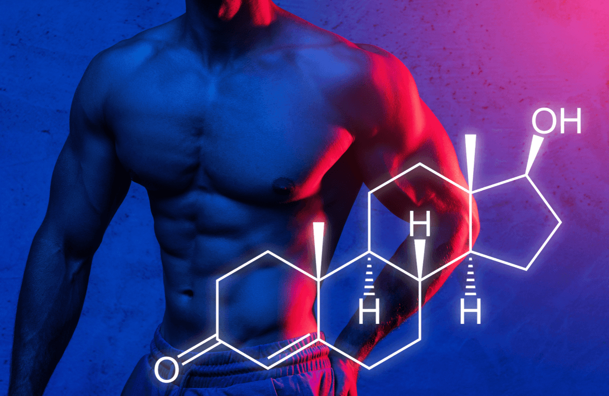 Un corps musclé et la molécule de la testostérone