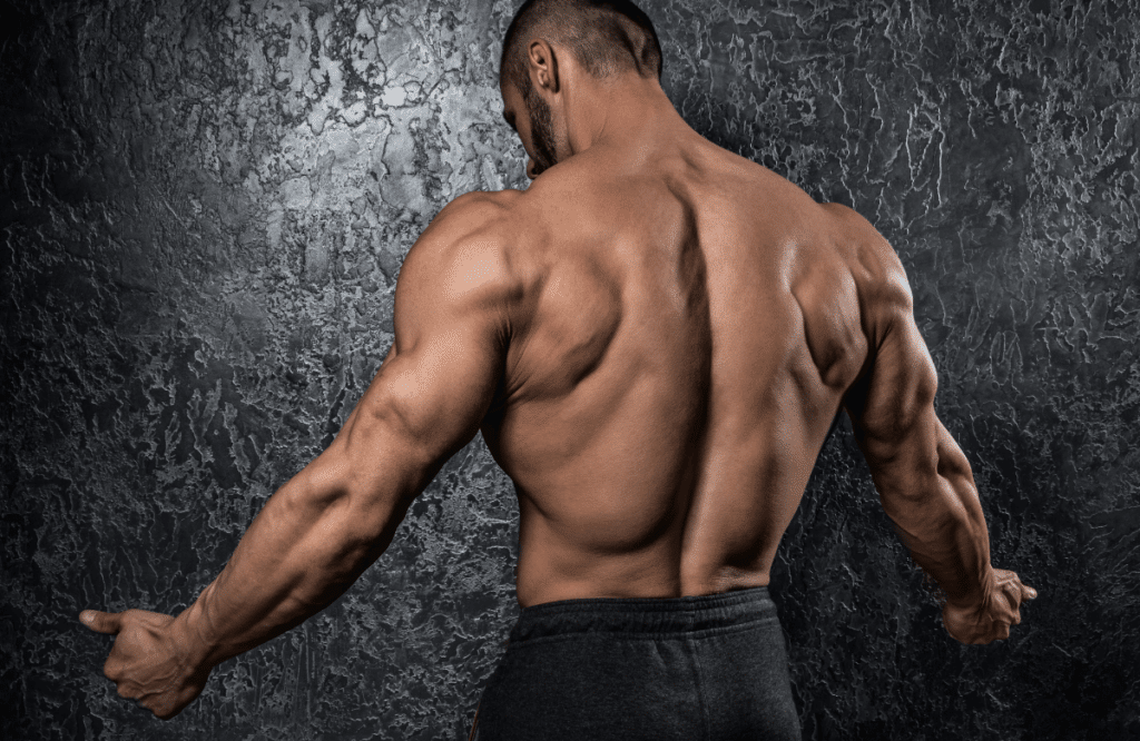 A man flexing his back to show the lats