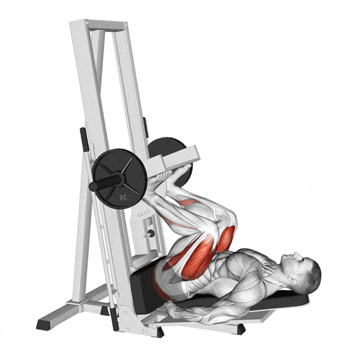 Leg press hamstring online focus