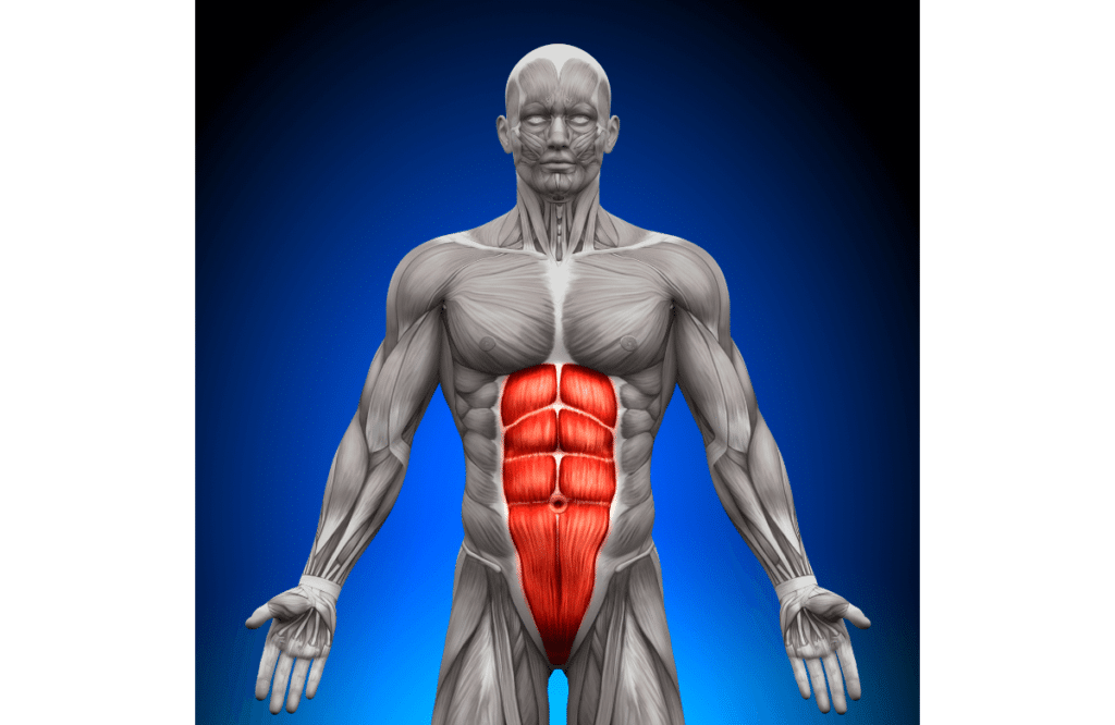 The Four-Pack Abs Type Explained + Guide - BoxLife Magazine