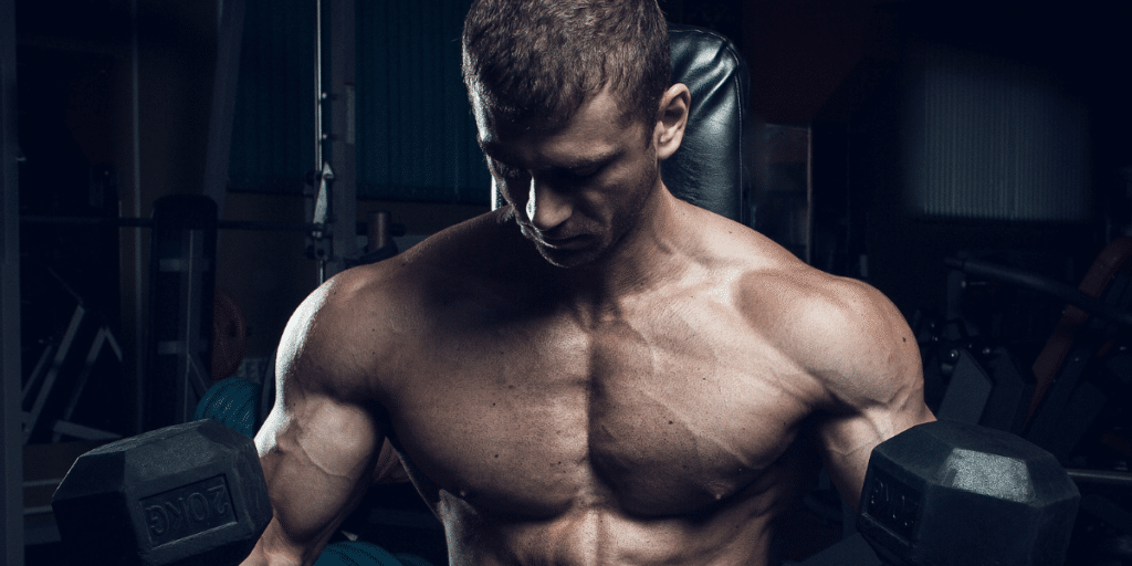 The Most Important Muscle Groups in the Human Body and How to Strengthen  Them