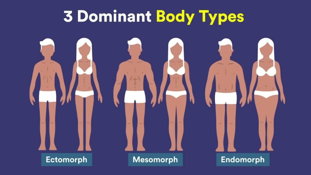 The Three Different Body Types and How They Affect Your Training