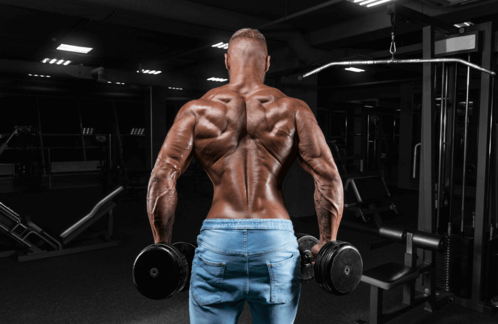 A muscular man performing shrugs using dumbbells at the gym