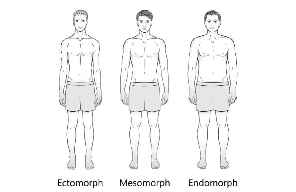 What Are the Three Body Types? Diet & Exercise for Your Somatotype –  Transparent Labs