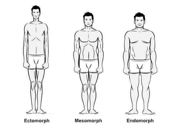 3 Different Body Types Explained: Diet, Workouts and Tips