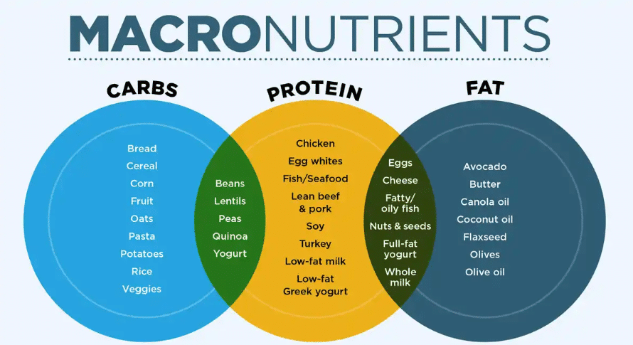 A Macro Calculator to Crush Your Physique Goals