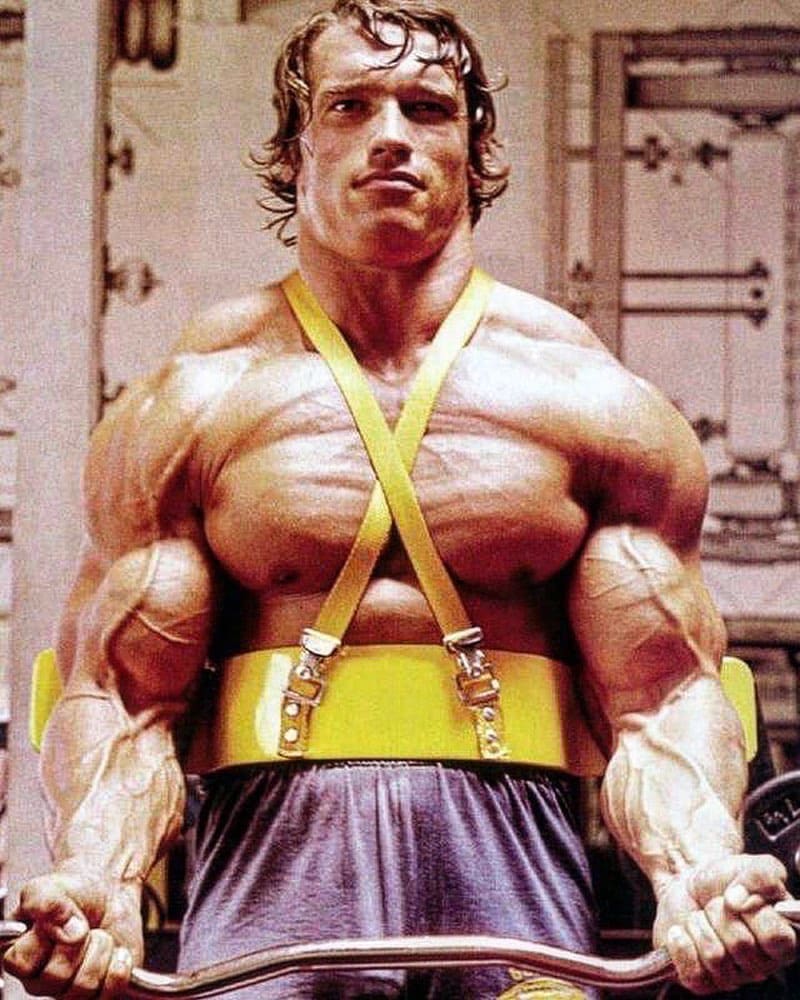 Arnold Schwarzenegger's Biography In And Out Of the Gym