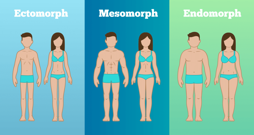 Different body types for men and women