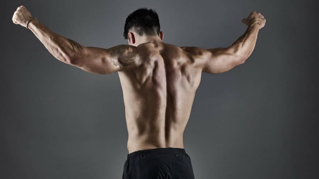 Man shows his muscular back