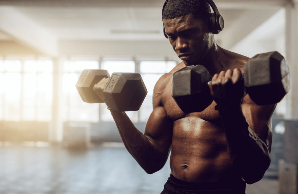 4 day best sale split dumbbell workout