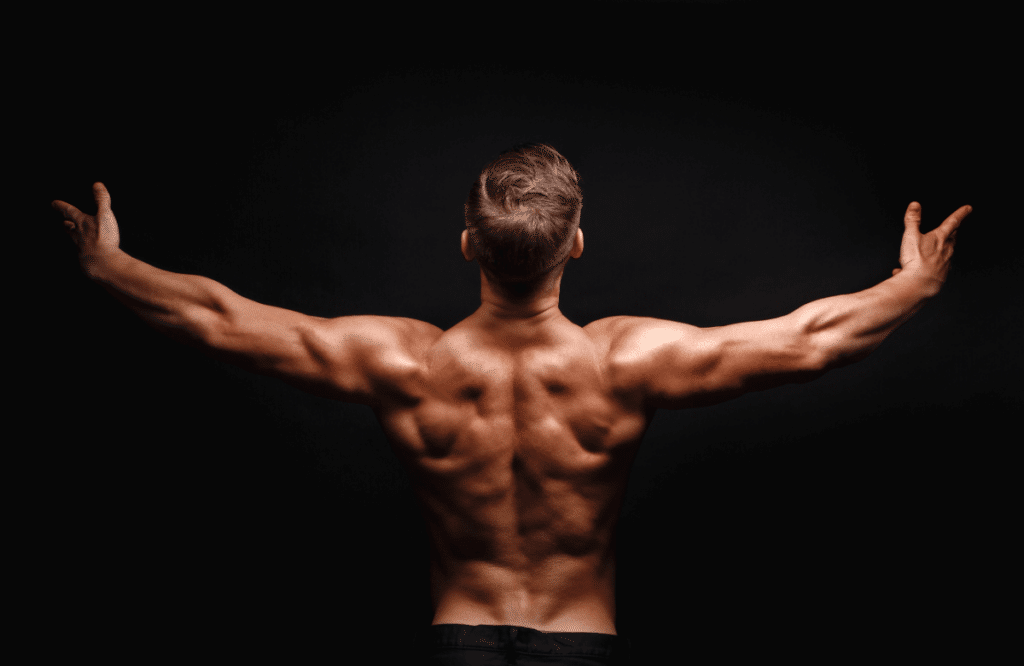Muscular man shows his back