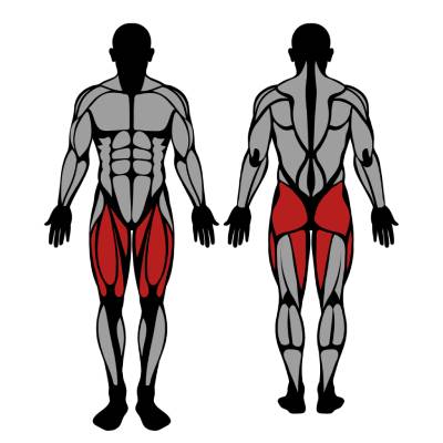 Muscles worked by hack squat machine