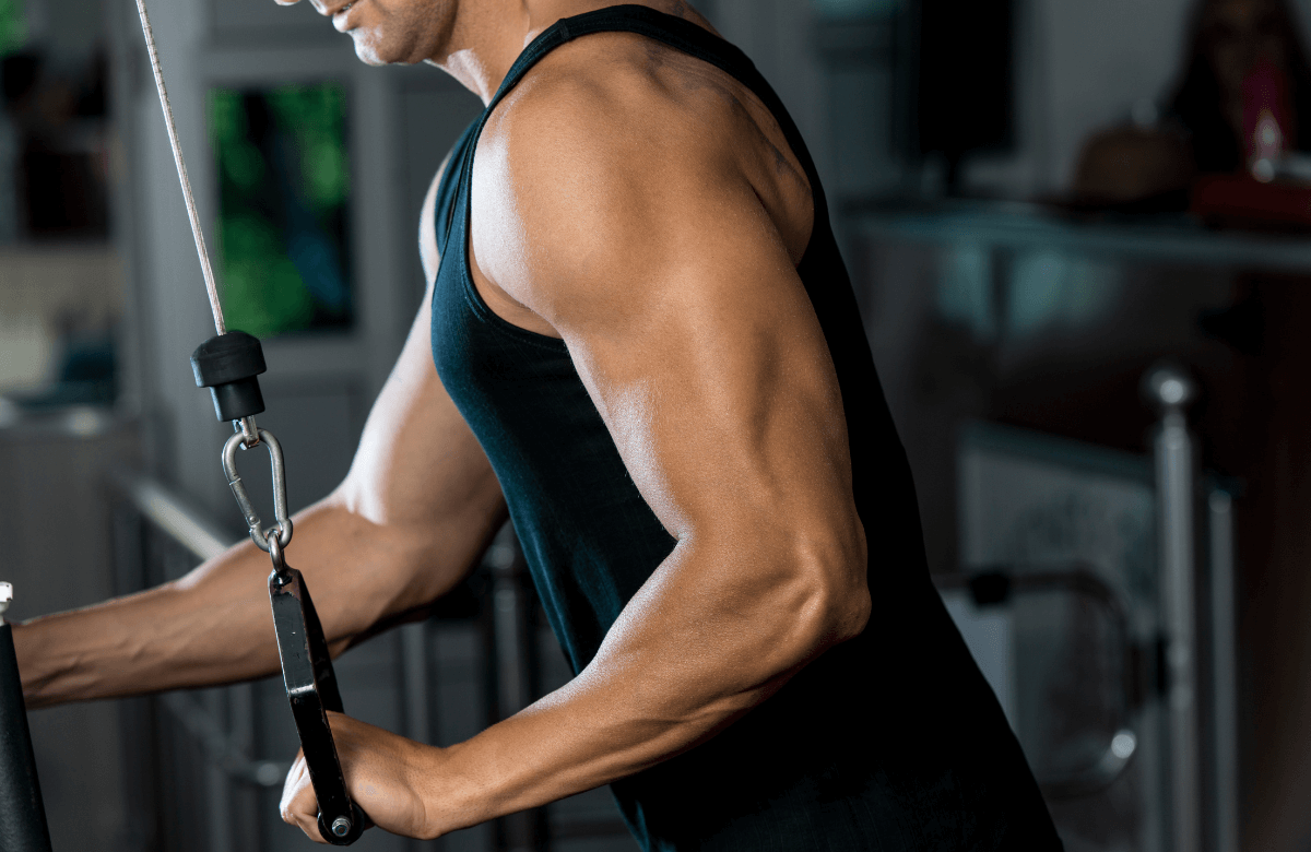 Lose fat and discount gain muscle workout plan