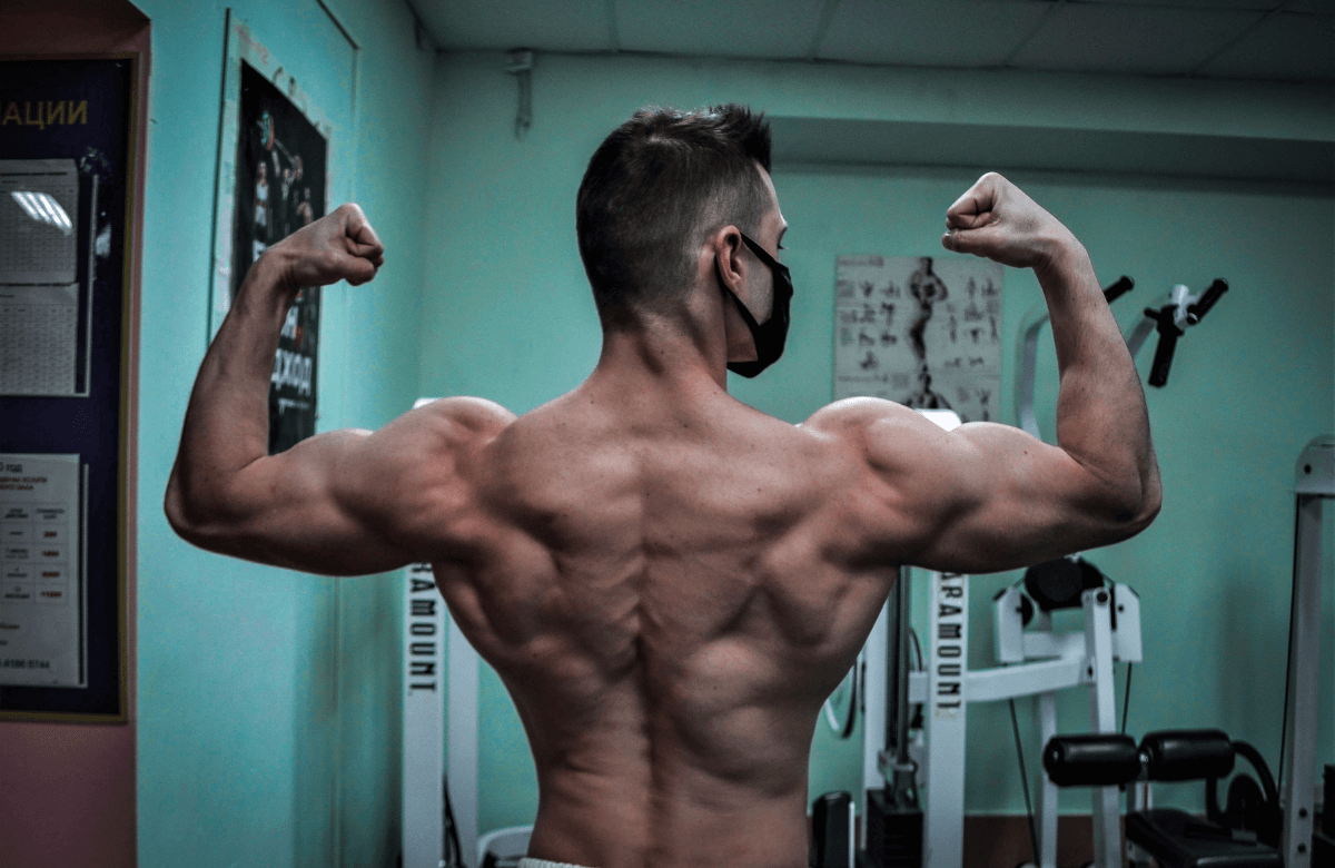 Building Muscle: How Long Until Noticeable Results?