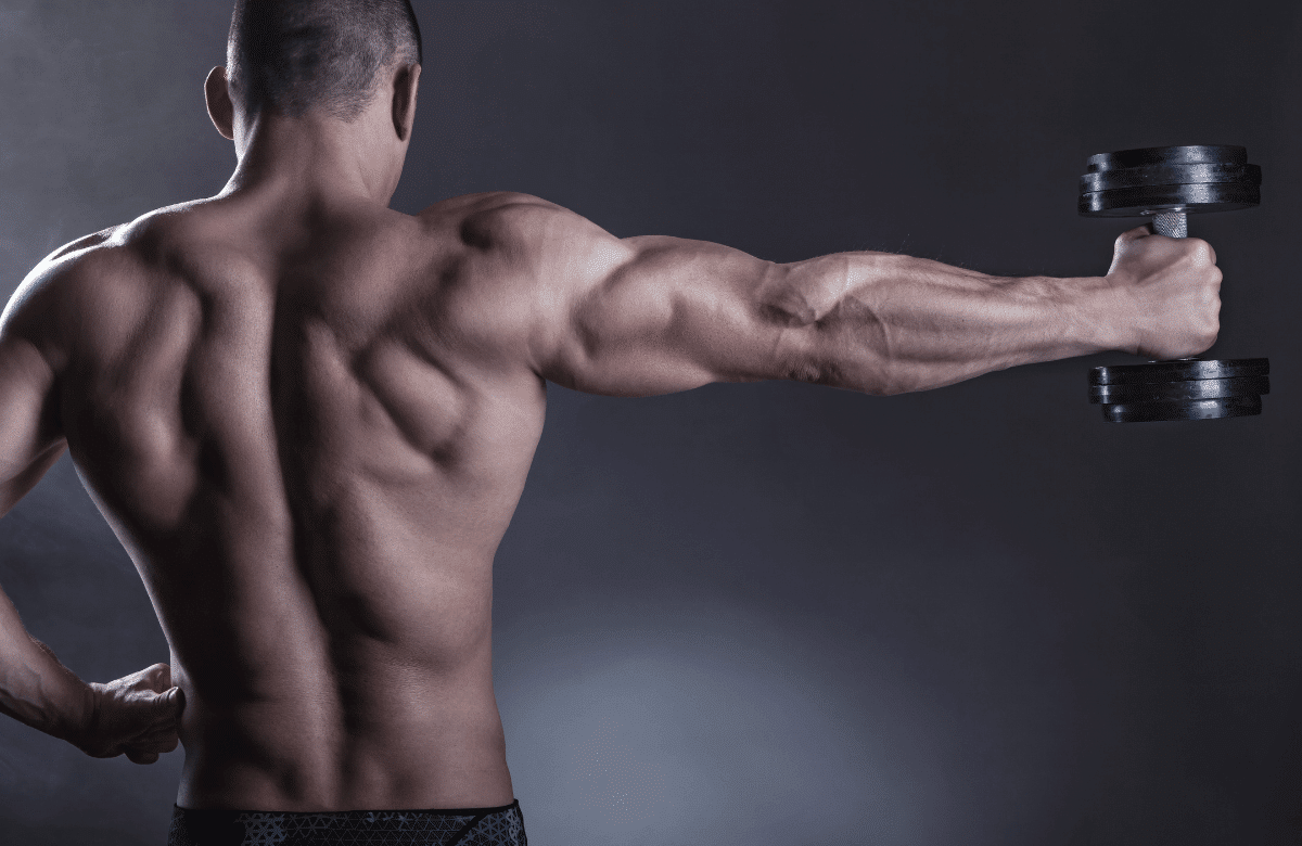 Top 20 Best Trap Exercises For A Stronger Back - BoxLife