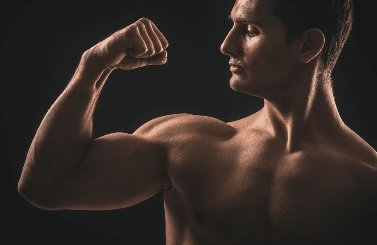 Biceps Long ou Court ? Comment le Déterminer ? Boxlife