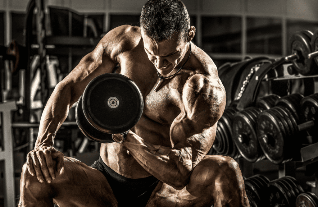 How To Get Wider Biceps The 10 Best Exercises And Tips 5317