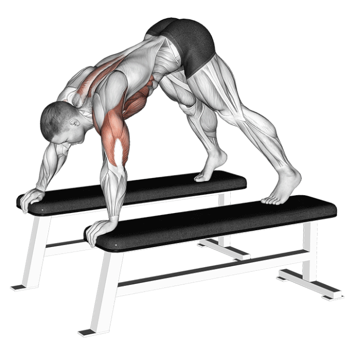 PressUps The Ultimate Guide (Technique, Variations...)