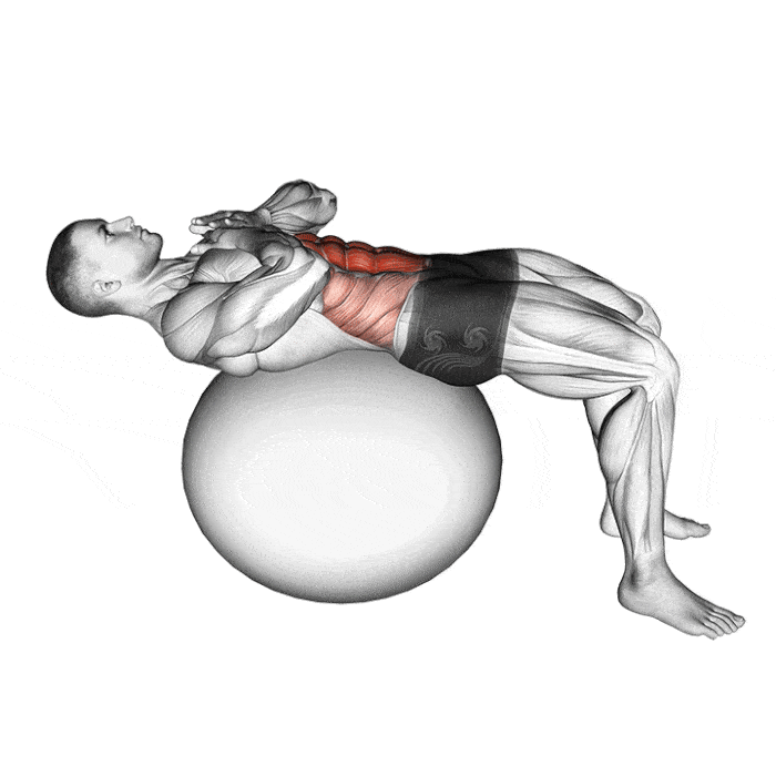 Crunch Machine des Abdos Puissants Boxlife