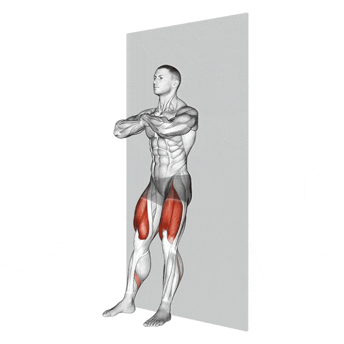 7 Ejercicios para Destruir tus Cuadríceps Boxlife