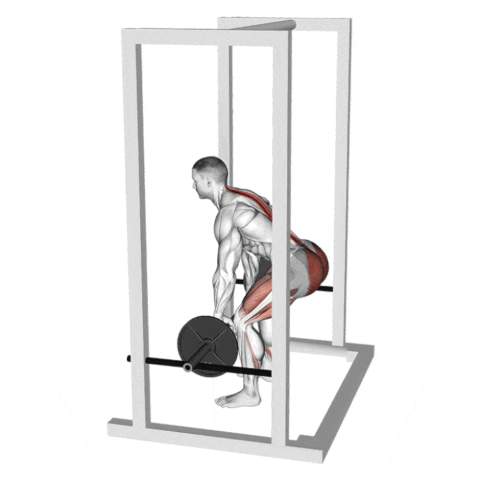HowTo Do Rack Pulls LowerBack Exercise BoxLife