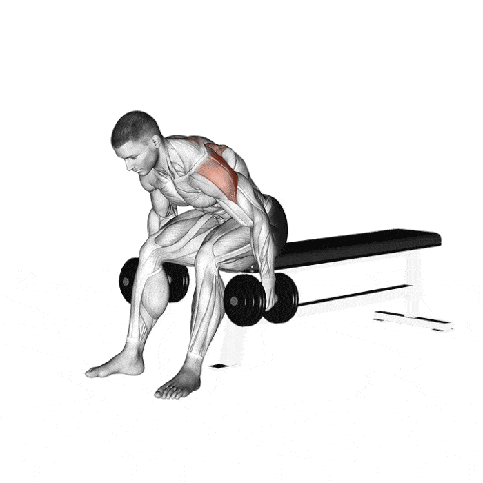 Les 6 Meilleurs Exercices pour Muscler l'Arrière des Épaules