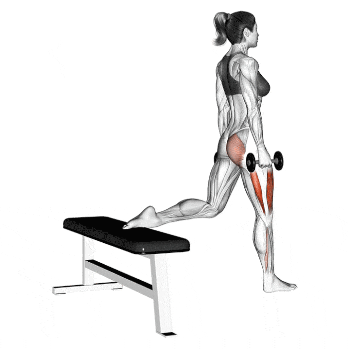 Les 9 Meilleurs Exercices Jambes à Faire à la Maison