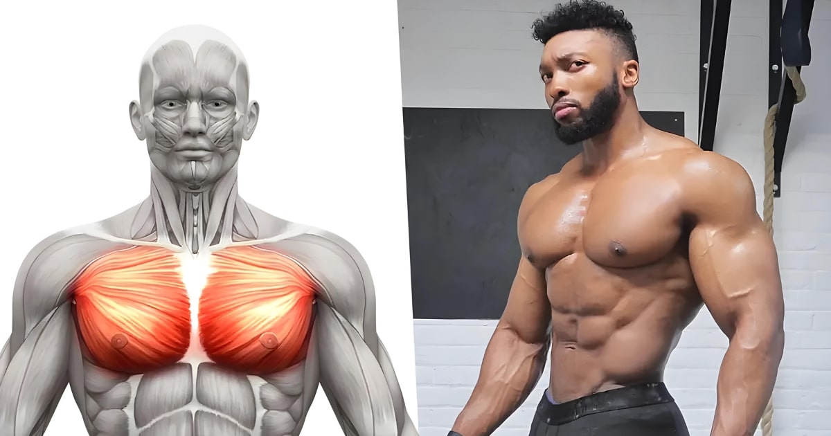 The Only 5 Exercises You Need For a Jacked Chest (Faster Than You Think)