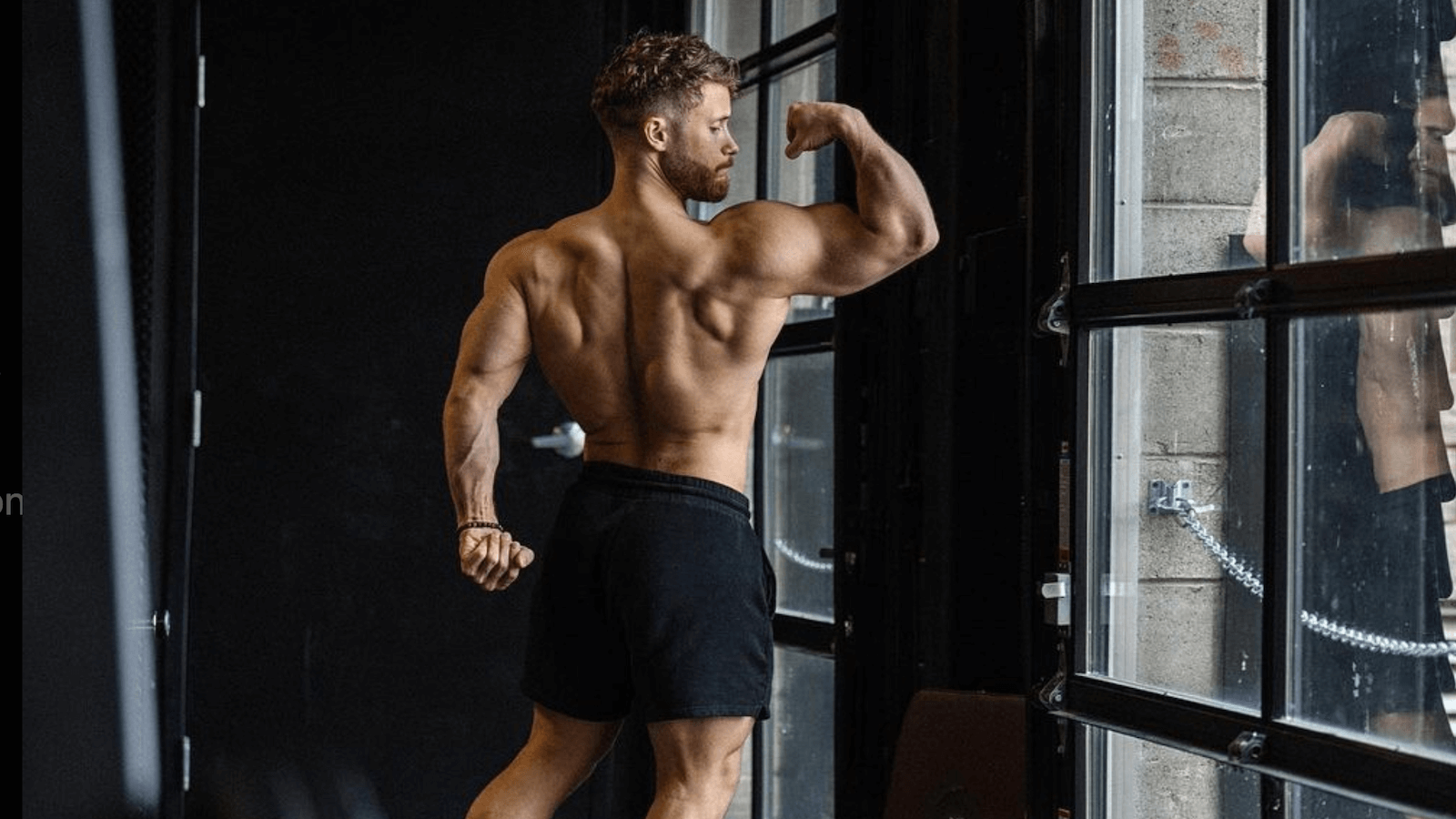 5 Killer Back and Biceps Workouts For Building Muscle 