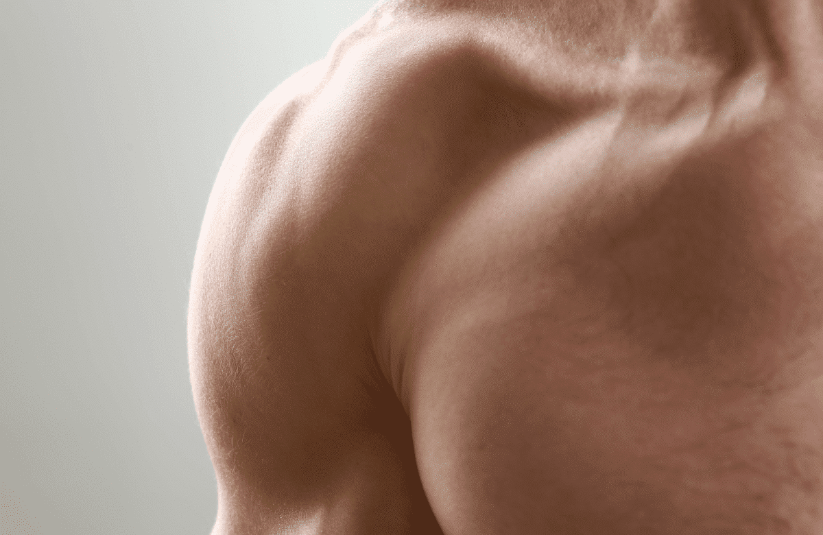 17 Best Rear Delt Exercises For Bigger Shoulders (And Better Posture)