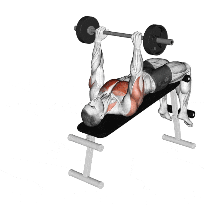 Tout Savoir sur l'Exercice du Pull Over en Musculation