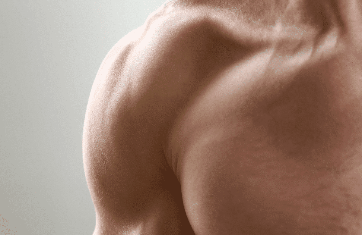 Zoom sur les muscles de l'épaule d'un homme