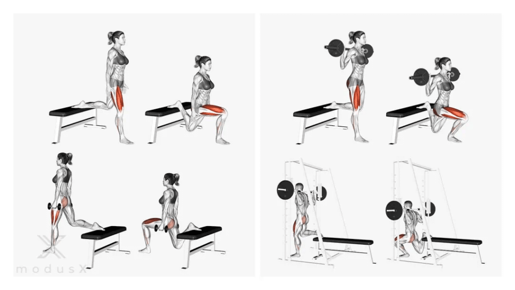 Get A Perkier Booty With These 22 Lower Glute Exercises - A Guide To Grow  Your Underbutt