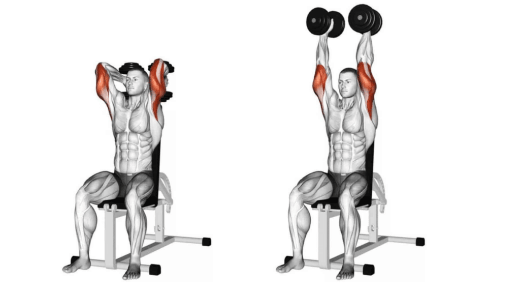 Seated Triceps Extensions