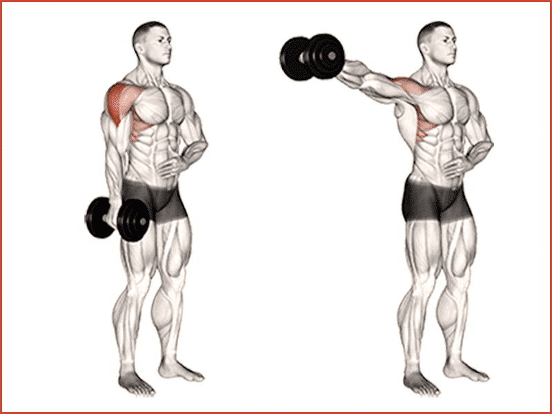 Side Lateral Raises