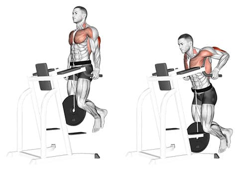 Weighted Tricep Dips